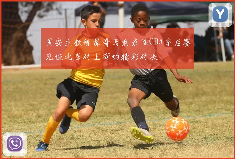 国安主教练蒙哥马利亲临CBA季后赛见证北京对上海的精彩对决