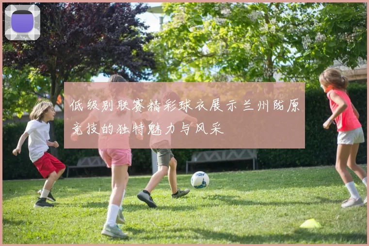 低级别联赛精彩球衣展示兰州陇原竞技的独特魅力与风采