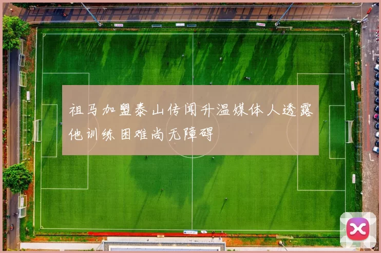 祖马加盟泰山传闻升温媒体人透露他训练困难尚无障碍